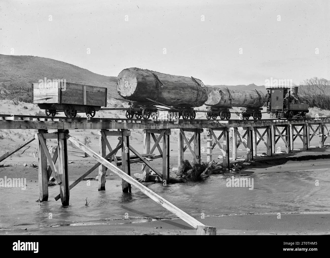 Albert Percy Godber (fotografo neozelandese) - locomotiva a vapore che trasporta tronchi di kauri attraverso Maori Creek Foto Stock