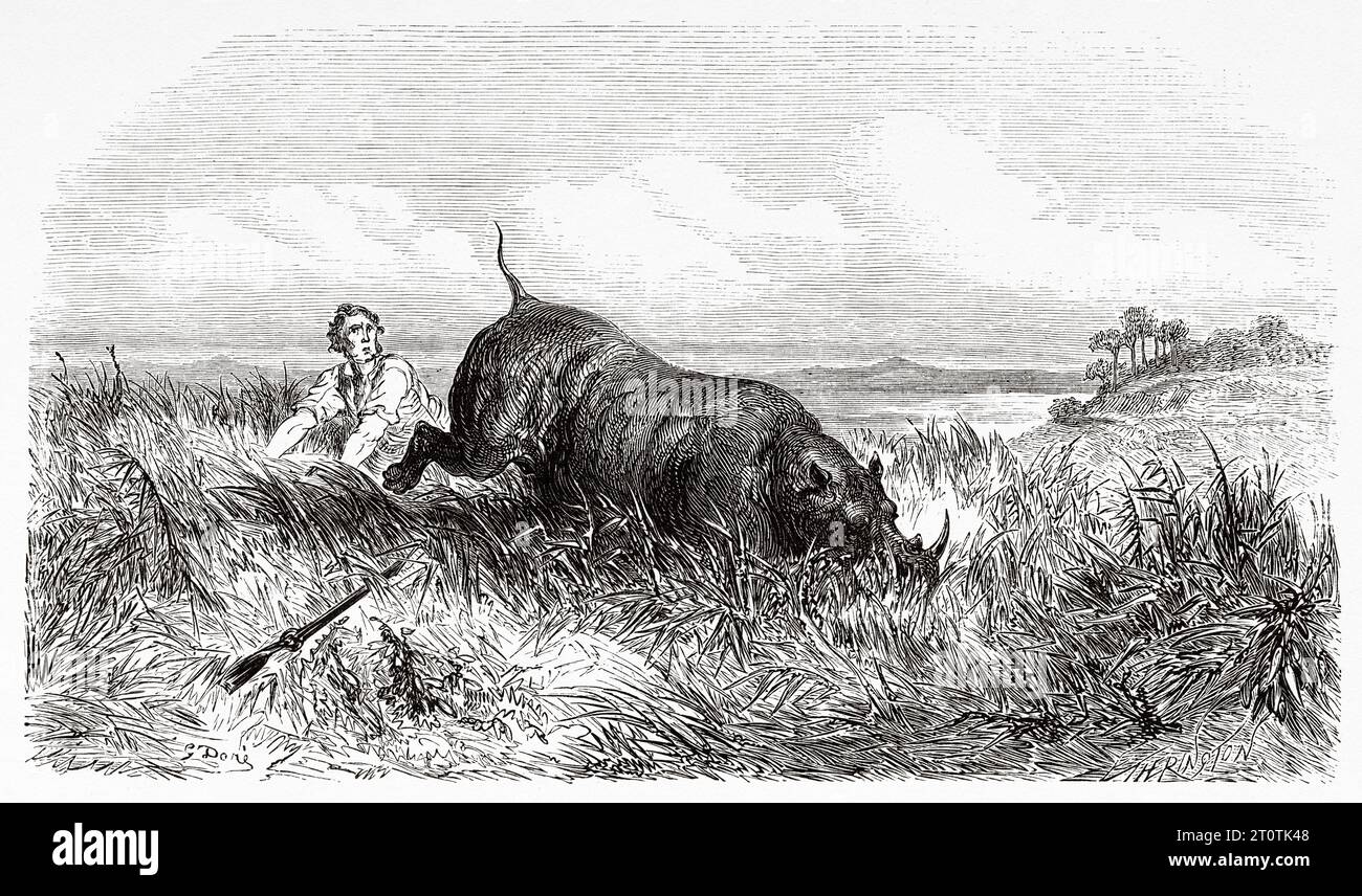 Caccia al rinoceronte in Africa. Avventure e caccia del viaggiatore Charles John Andersson in Sud Africa dal 1850 al 1860. Illustrazione del vecchio XIX secolo di Gustave Doré (1832 - 1883) da le Tour du Monde 1860 Foto Stock