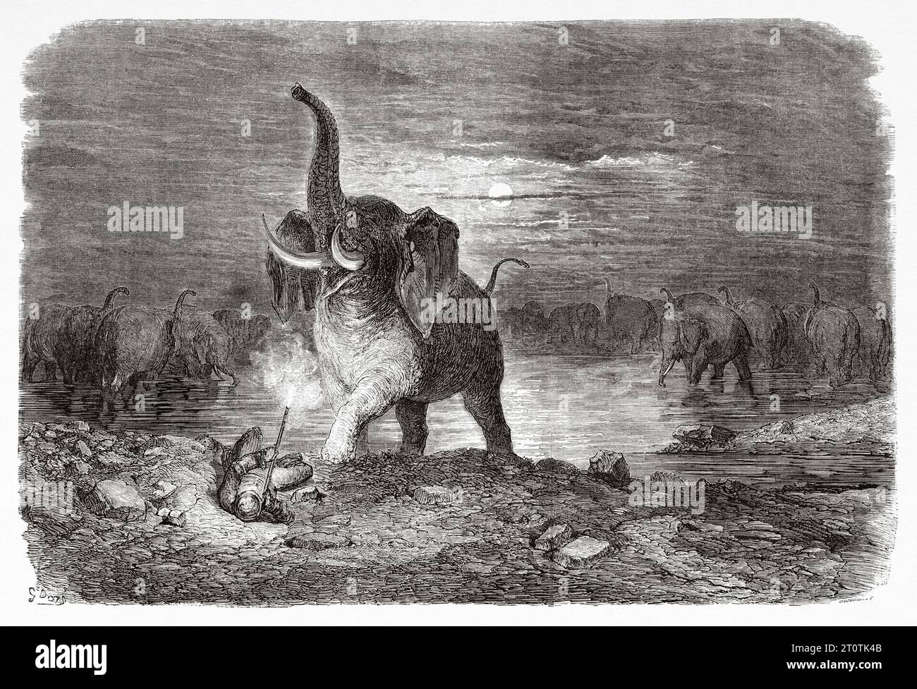 Hunter sorpreso da un elefante, l'Africa. Avventure e caccia del viaggiatore Charles John Andersson in Sud Africa dal 1850 al 1860. Illustrazione del vecchio XIX secolo di Gustave Doré (1832 - 1883) da le Tour du Monde 1860 Foto Stock