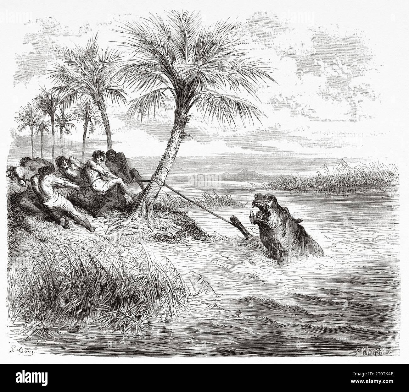 Popolazioni indigene che catturano un ippopotamo con un arpione, l'Africa. Avventure e caccia del viaggiatore Charles John Andersson in Sud Africa dal 1850 al 1860. Illustrazione del vecchio XIX secolo di Gustave Doré (1832 - 1883) da le Tour du Monde 1860 Foto Stock