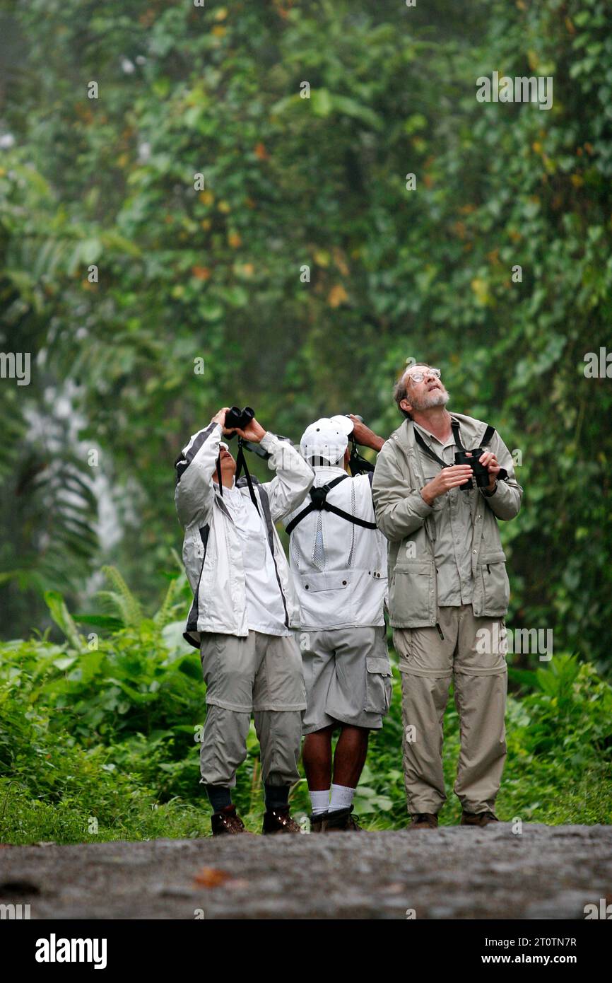 Osservazione di uccelli selvatici nella foresta pluviale di Arenal. Zona di la fortuna, Costa Rica. Foto Stock