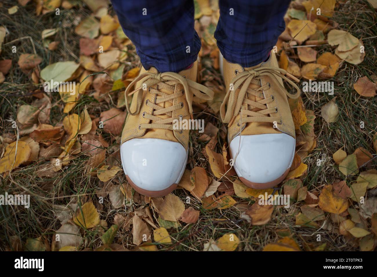 Primo piano di sneakers sulle foglie autunnali Foto Stock