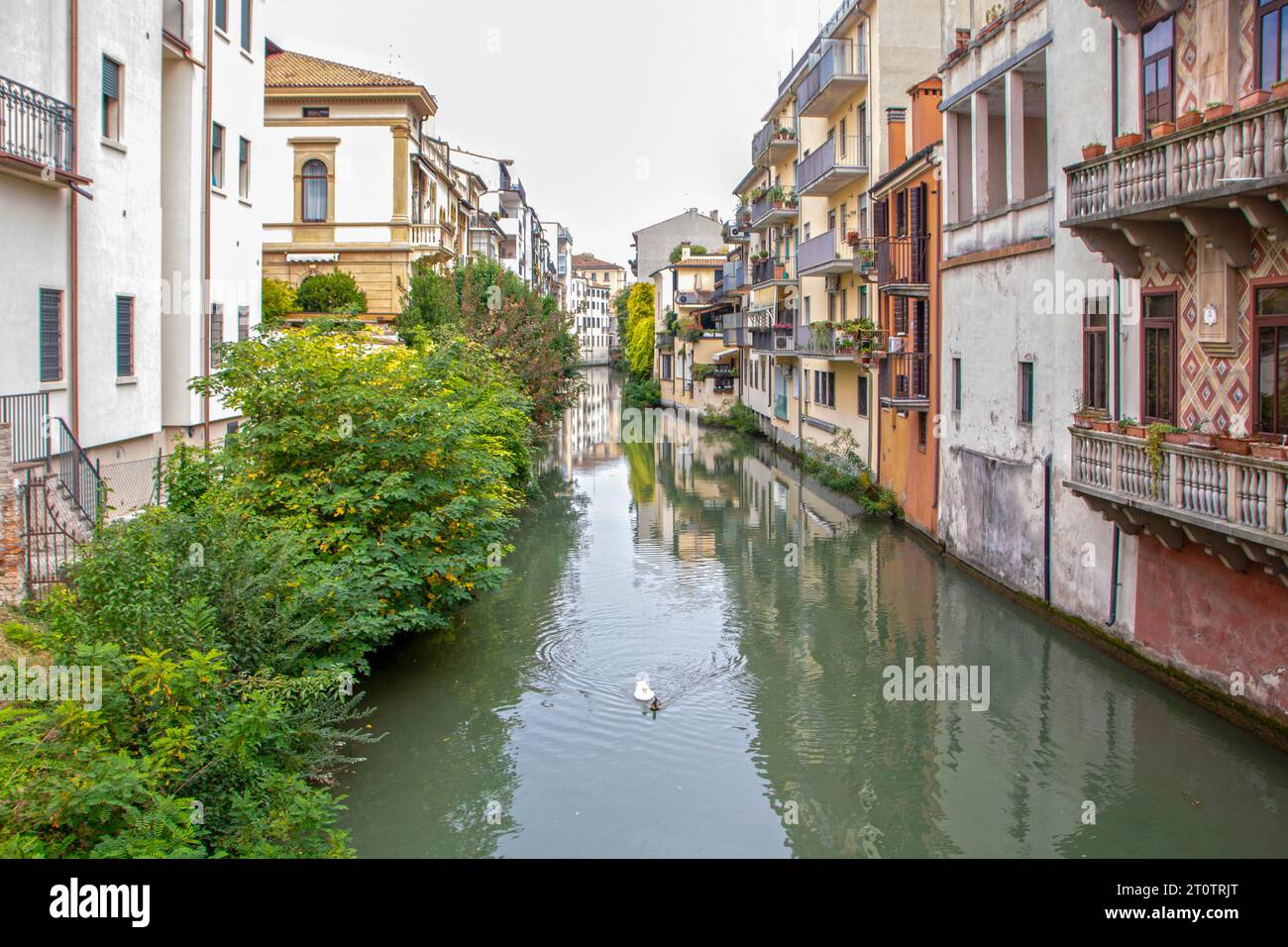 Centro storico di Padova in Veneto Foto Stock