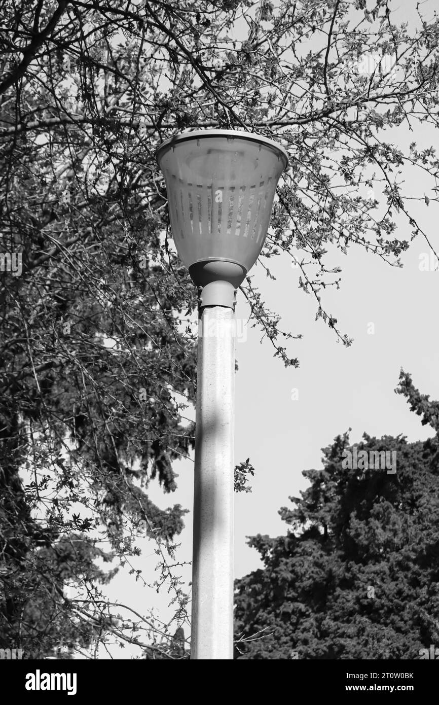 Palo per illuminazione stradale con lampada a lanterna in bianco e nero. Sorgente luminosa Foto Stock