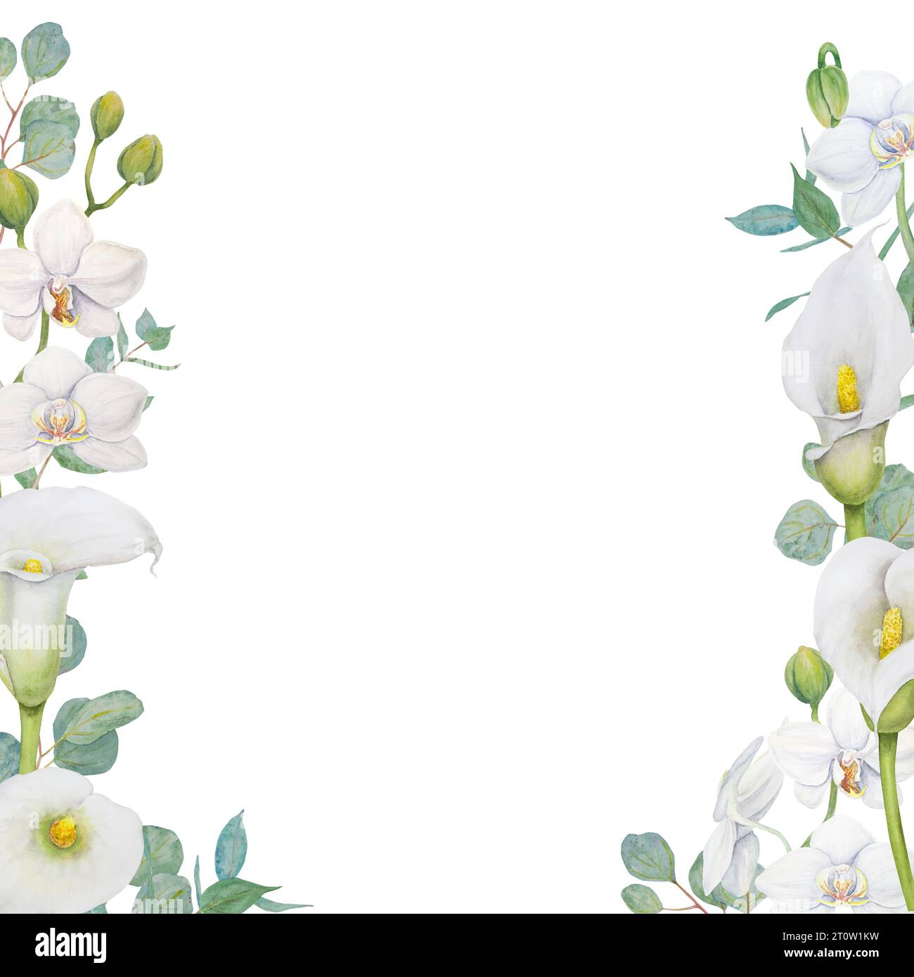 Cornice ad acquerello di fiori di giglio di calla bianca ed eucalipto. Illustrazione floreale disegnata a mano per inviti di nozze, salone floristico e di bellezza. Isolato Foto Stock