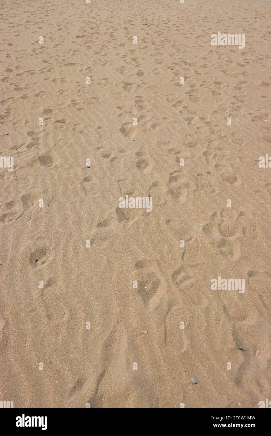 Sabbia di fondo astratta con impronte Foto Stock