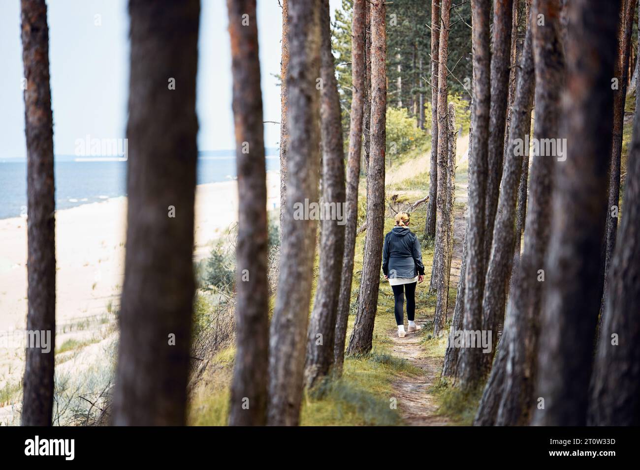 Donna che cammina nella foresta lungo la costa. Persona che trascorre attivamente le vacanze. Viaggio estivo. Passeggiare lungo la costa del mare. Attività all'aperto. Tempo libero Foto Stock