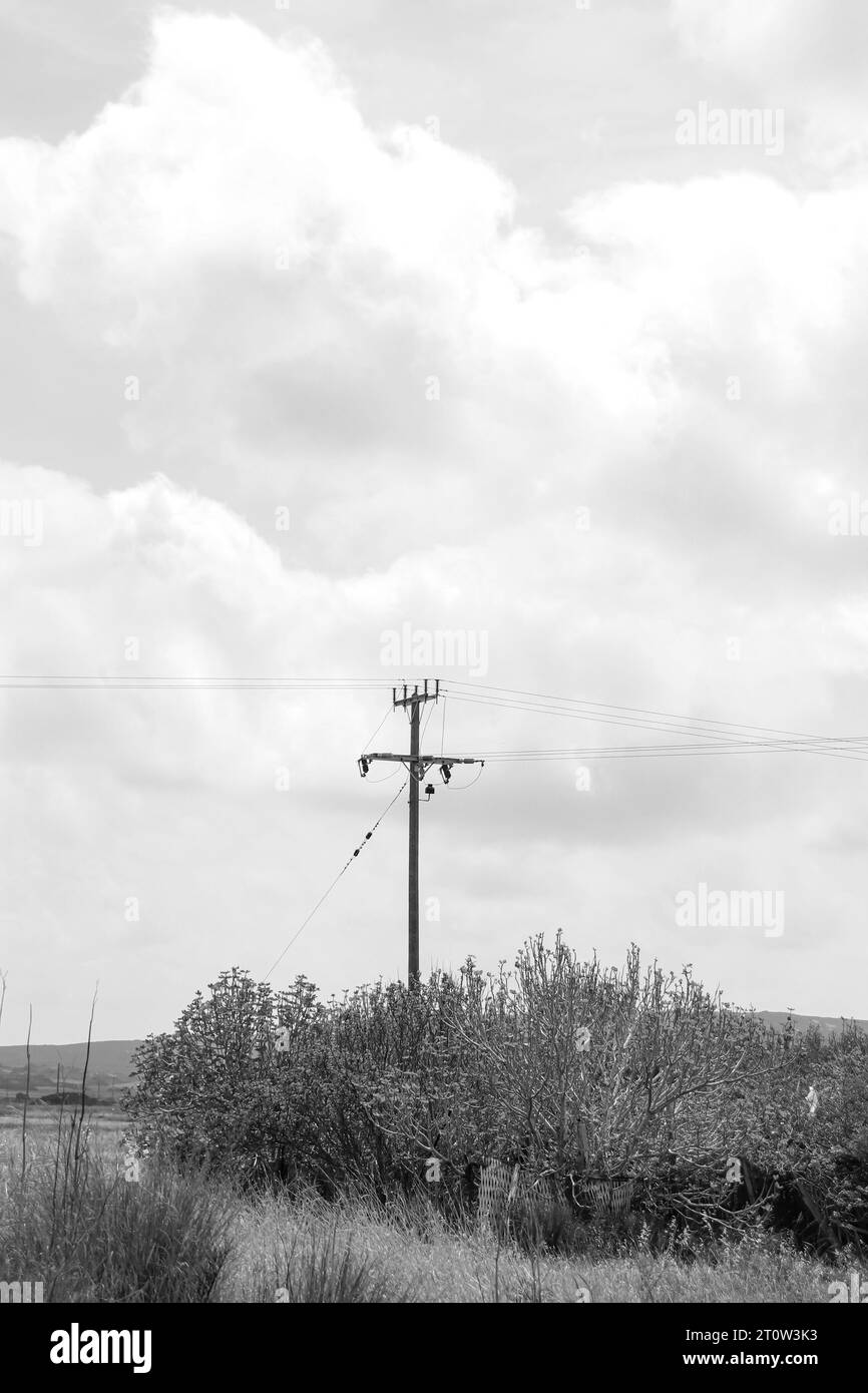 Palo elettrico nero e bianco utilizzato per supportare linee elettriche aeree poste nel campo naturale all'aperto nella campagna dell'isola di Rodi Foto Stock