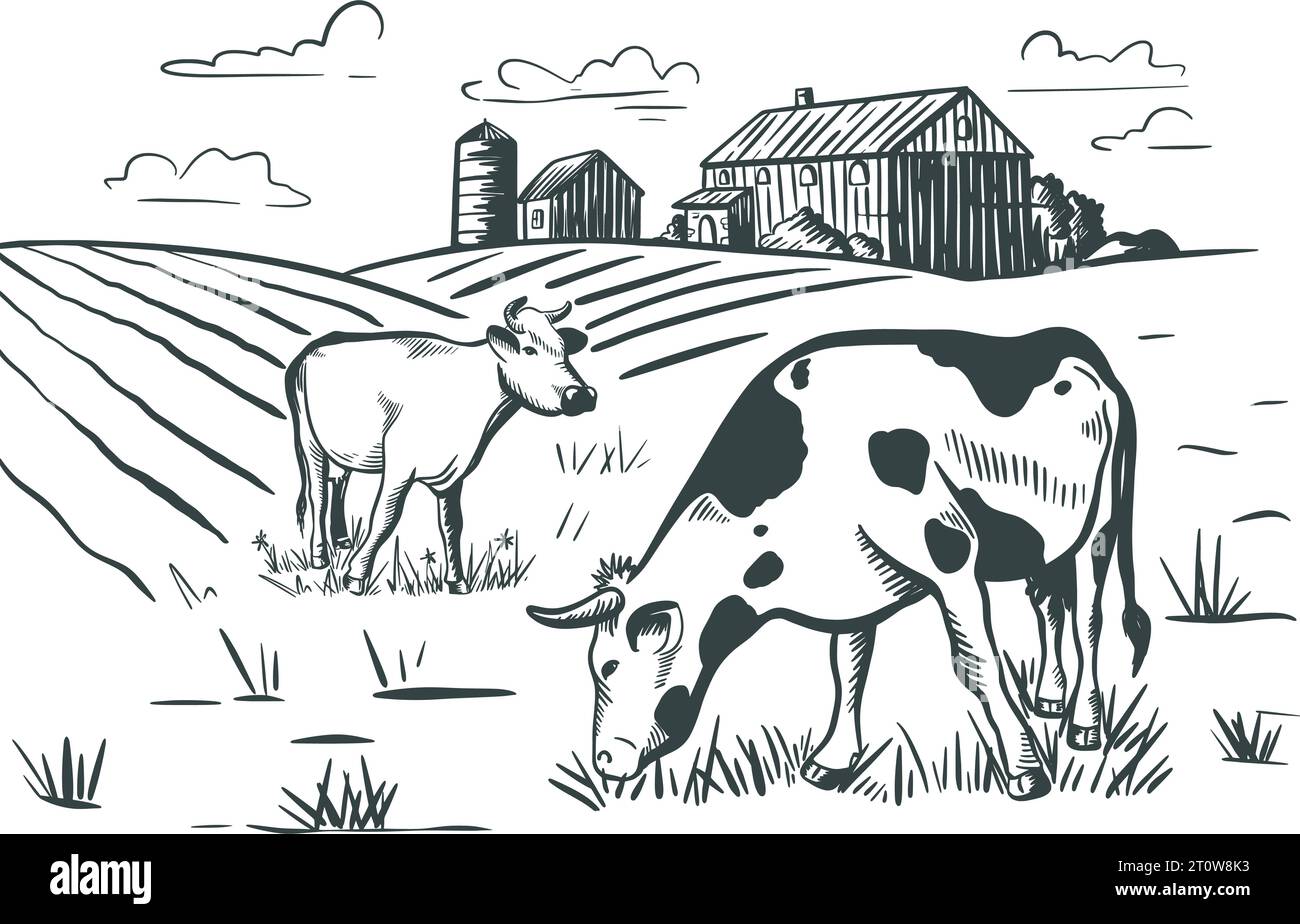 Le mucche pascolano nel prato vicino all'incisione a mano della fattoria. Paesaggio rurale con schizzo grafico a inchiostro animale. Terreni agricoli naturali con bestiame, illustrazione vettoriale Illustrazione Vettoriale