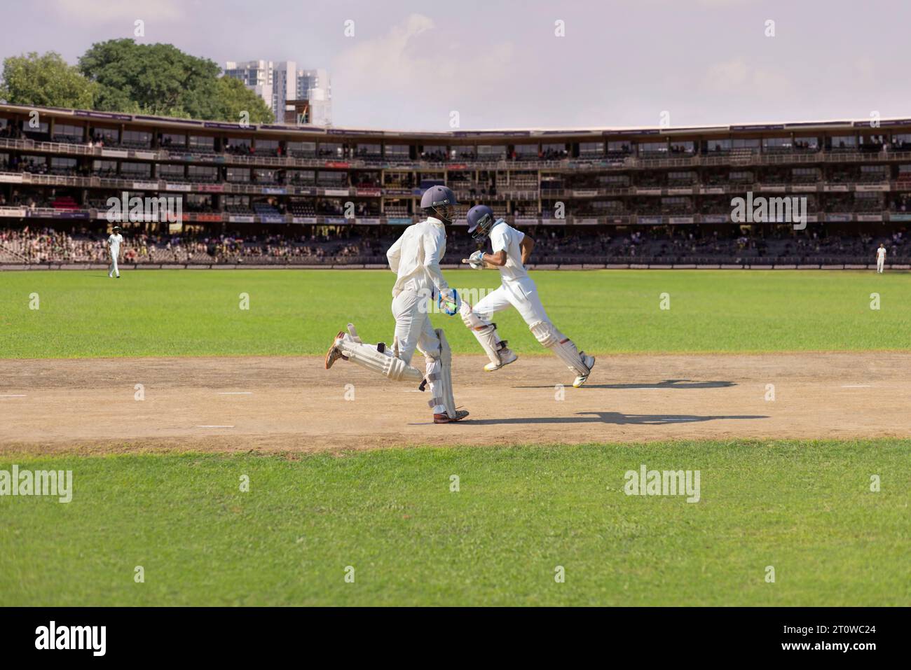 Cricketers, batsmen cross eaching altri mentre corrono durante una partita Foto Stock