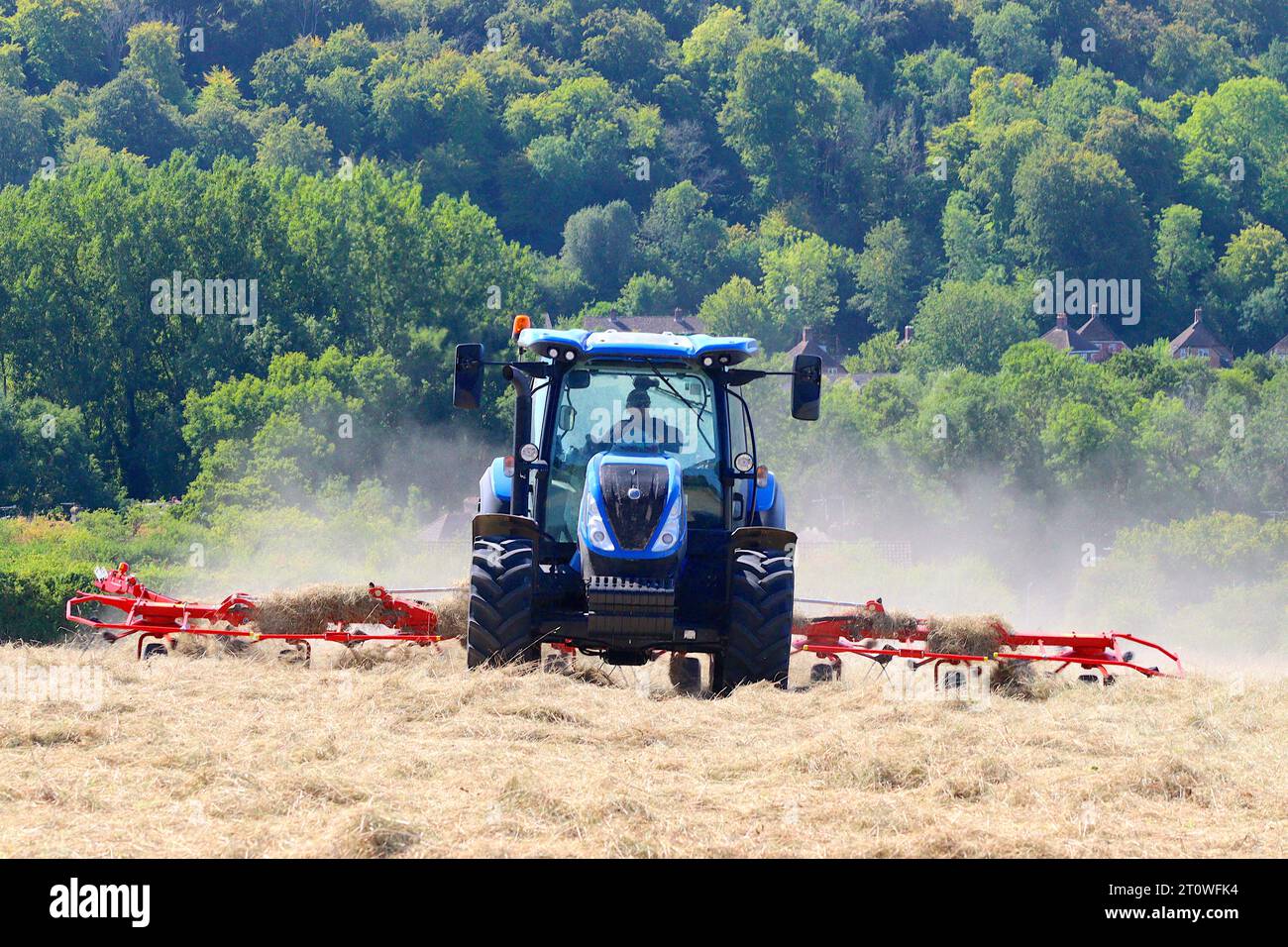 Trattore New Holland T5 120 e attrezzatura di spargimento del fieno Kuhn, al lavoro, spandimento del fieno in due linee asciutte di fieno per macchine di imballaggio da trattare e legare. Foto Stock