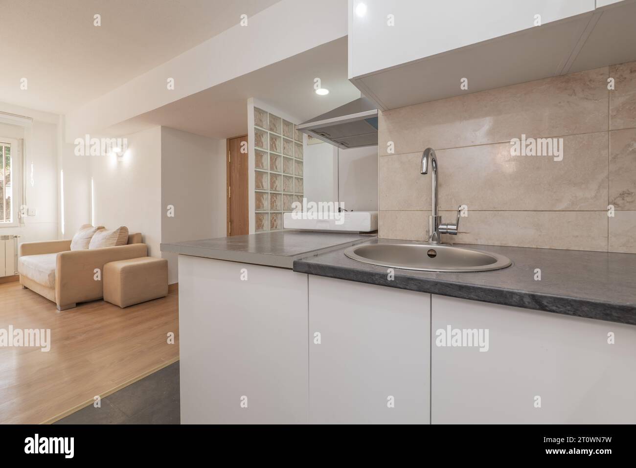 Cucina a vista in un appartamento loft con mobili bianchi con un ripiano grigio e una parete divisoria in mattoni e una porta di accesso in legno Foto Stock