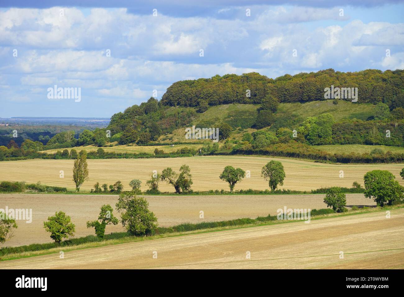 Una vista di fronte a Sharpenhoe Clappers da Sundon Hills Foto Stock