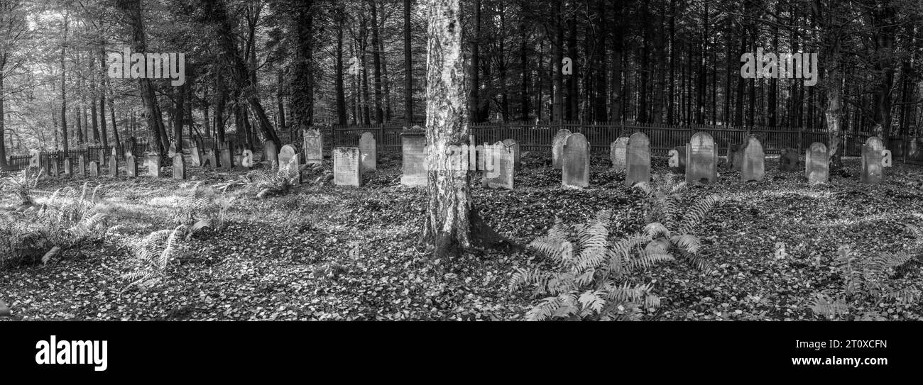 Vecchio Cimitero Ebreo nella foresta di querce Foto Stock
