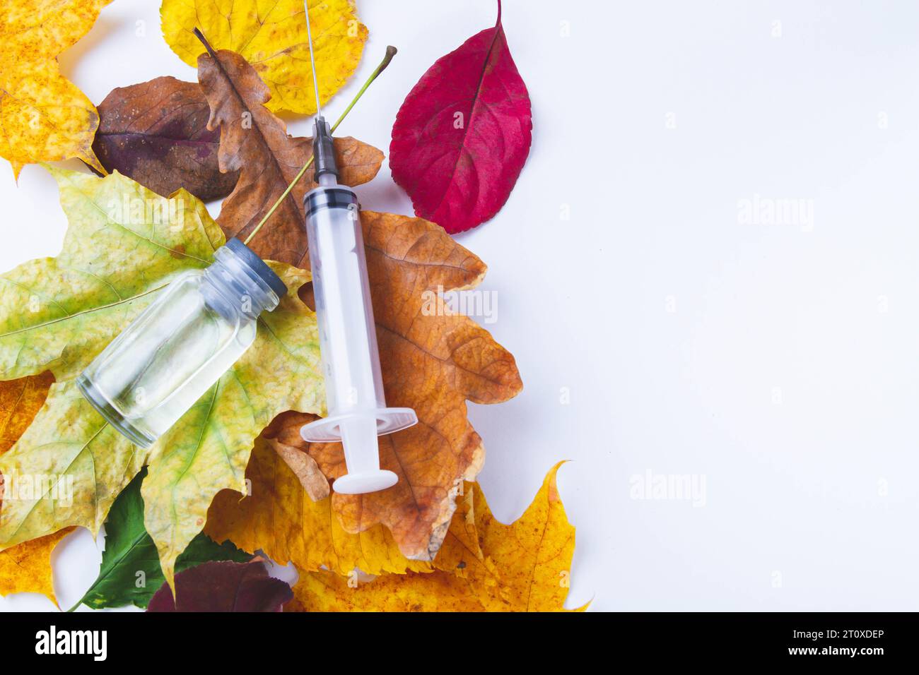 Vaccinazione autunnale della popolazione. Siringa nelle foglie autunnali. Vaccinazione in autunno. Nuovo vaccino.. Foto Stock
