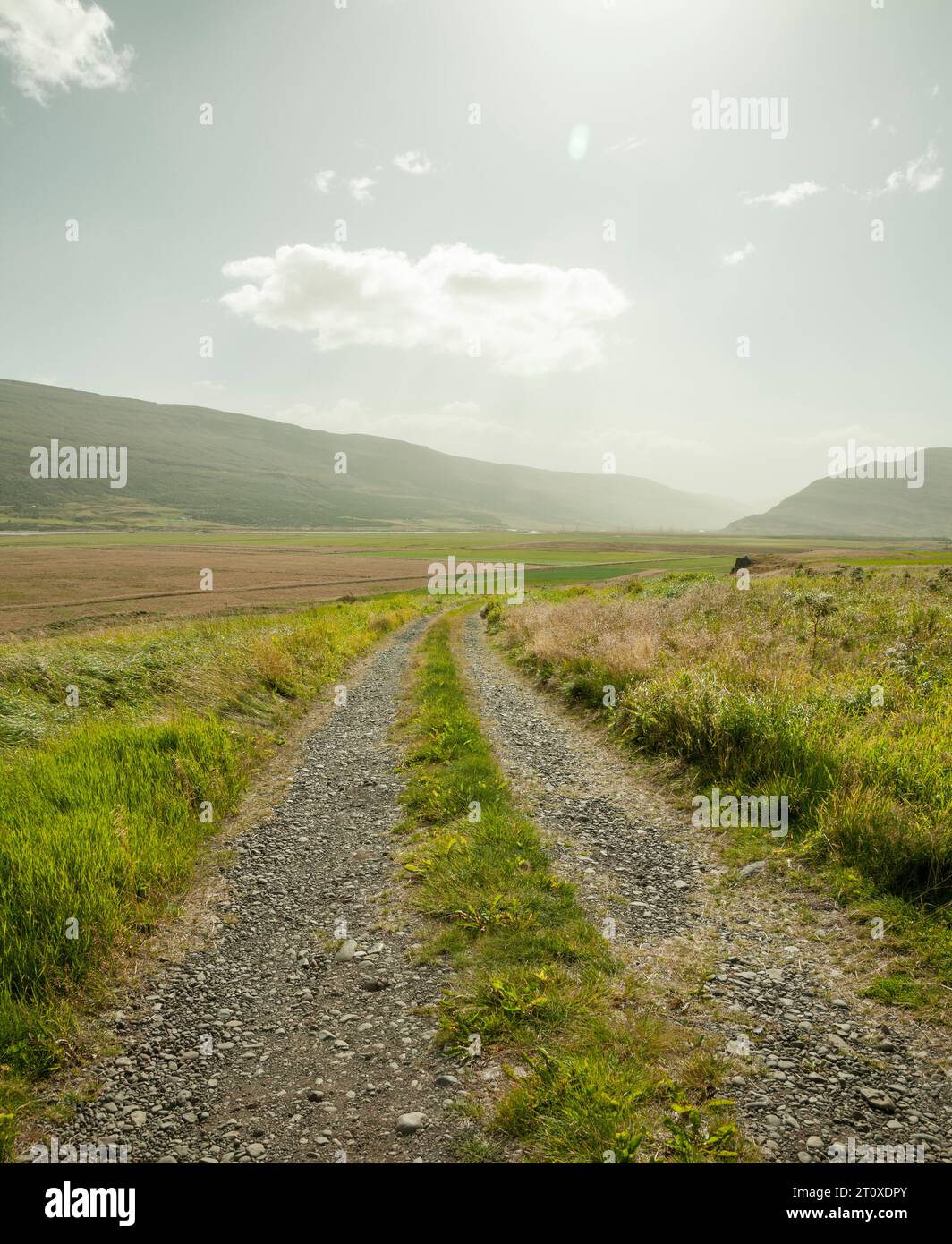 Strada di ghiaia rurale con montagne e nuvole bianche sullo sfondo, Islanda orientale Foto Stock