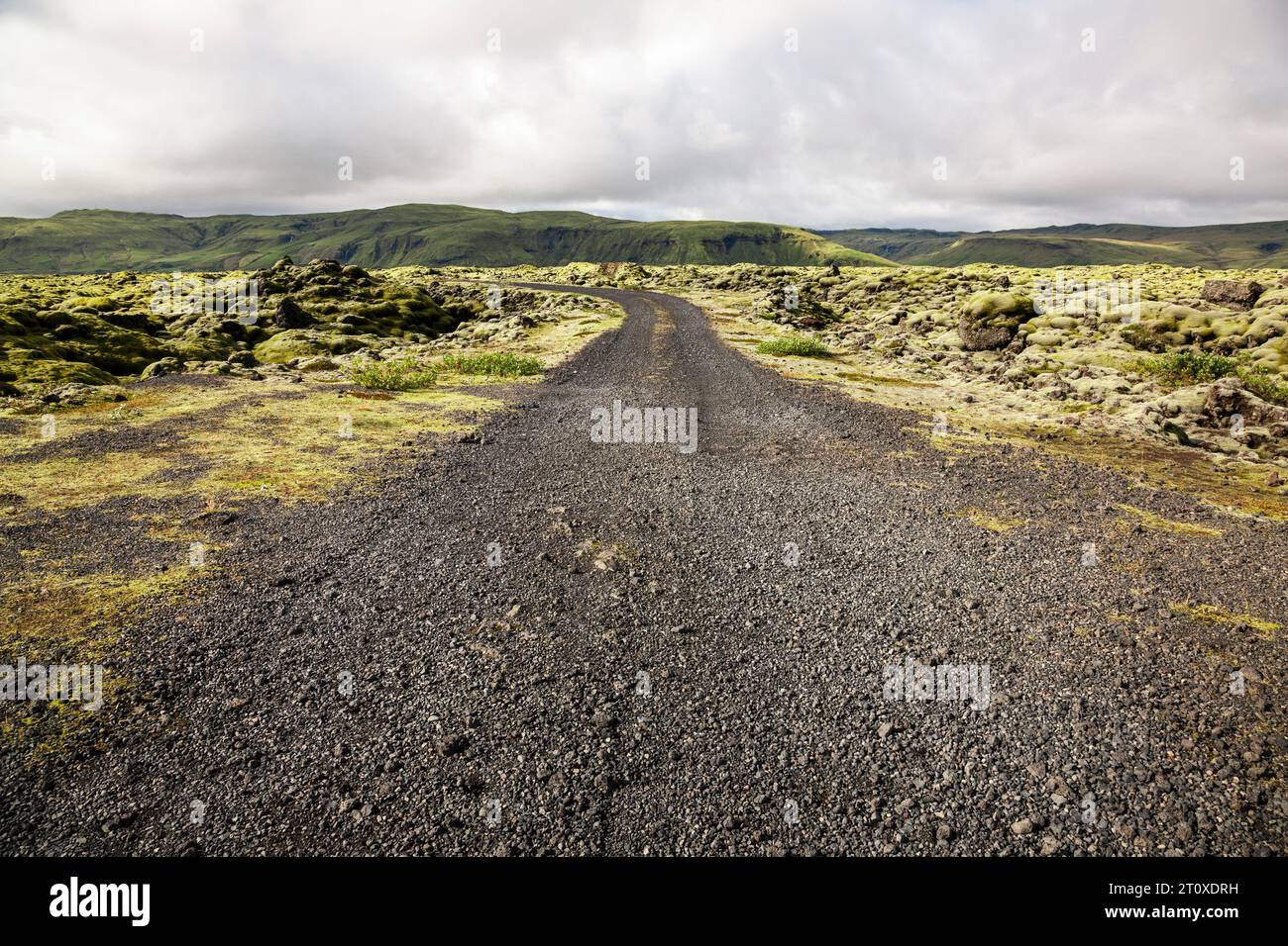 Strada di ghiaia circondata da campi di lava ricoperti di muschio verde con montagne sullo sfondo in un giorno nuvoloso, costa meridionale, islanda Foto Stock