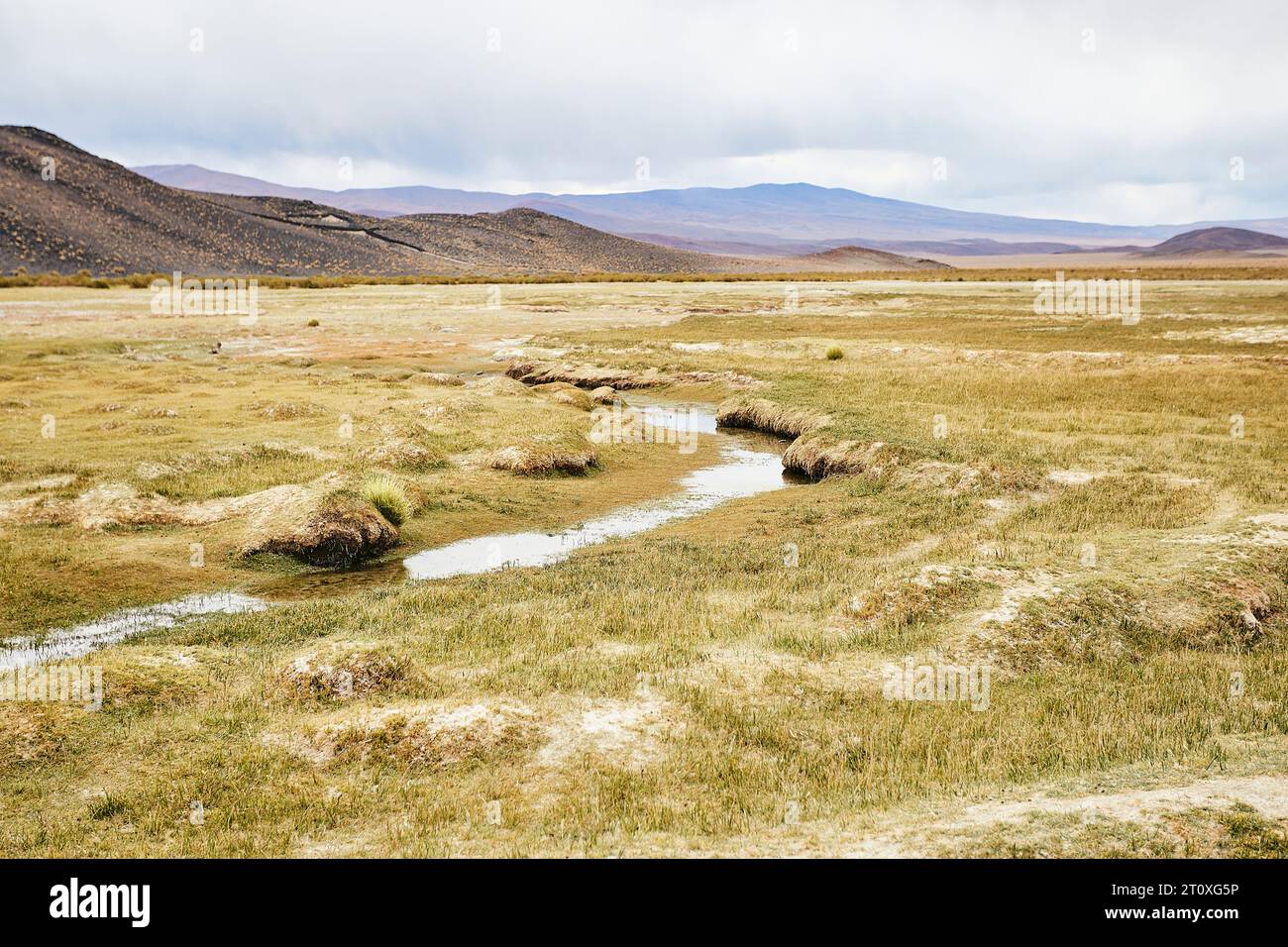 Paisaje de Antofagasta de la Sierra, provincia di Catamarca Foto Stock