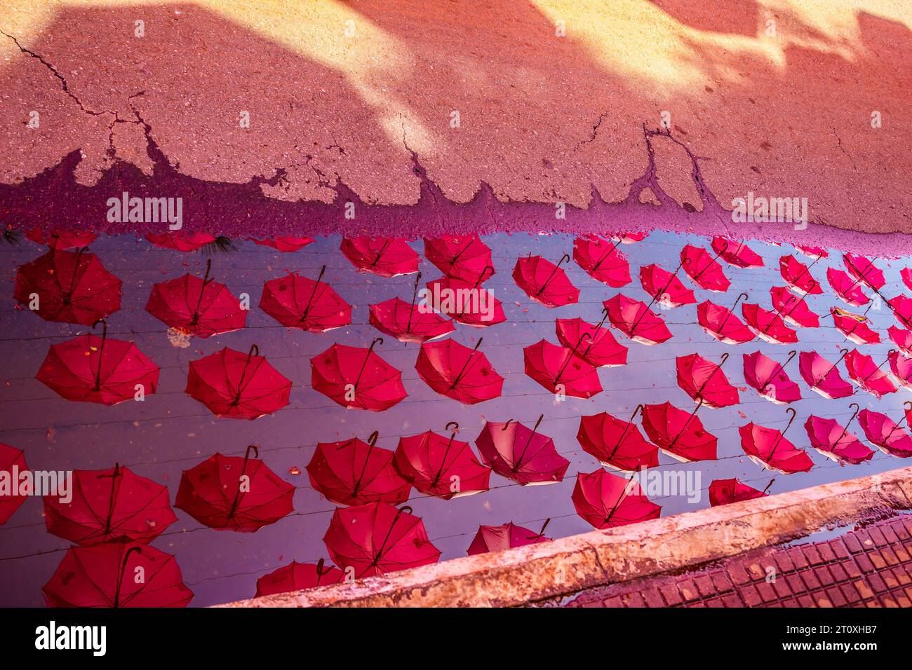 Goiânia, Goias, Brasile – 8 ottobre 2023: Ombrelli rosa, aperti e appesi lungo una strada in Goiania, riflessi nella pozza d'acqua sul terreno. Foto Stock