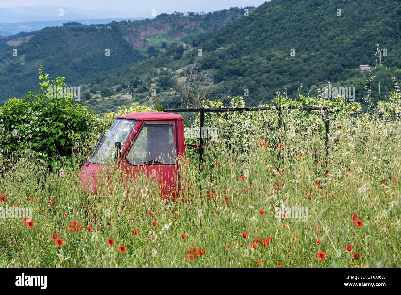 Bagnoregio, Italia-9 giugno 2023- tipico veicolo commerciale rosso chiaro italiano - l'Ape Piaggio - abbandonato in campo metà coperto da alta crescita Foto Stock