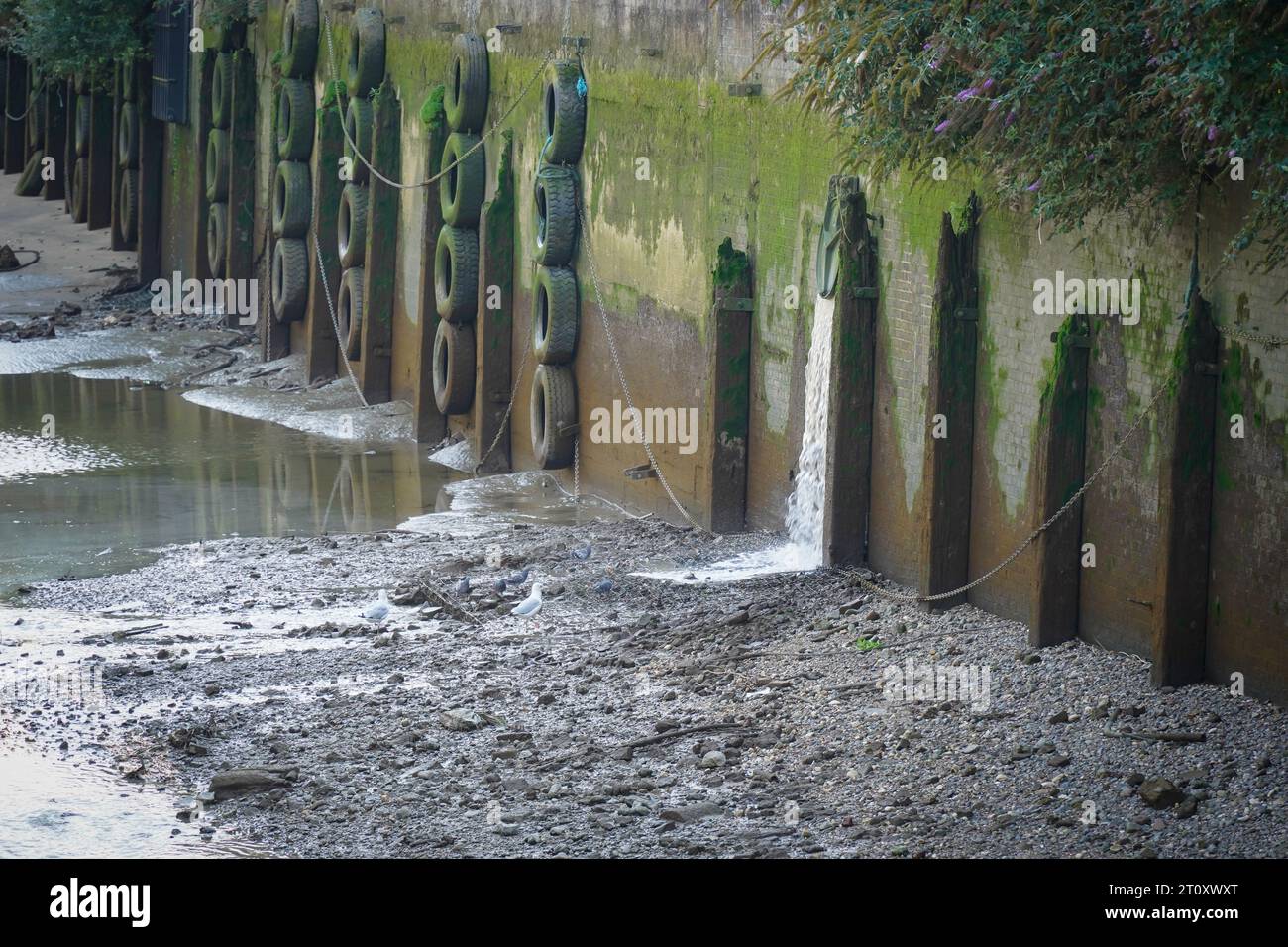Le acque reflue in eccesso grezze e non trattate vengono versate sul Tamigi a Londra Foto Stock