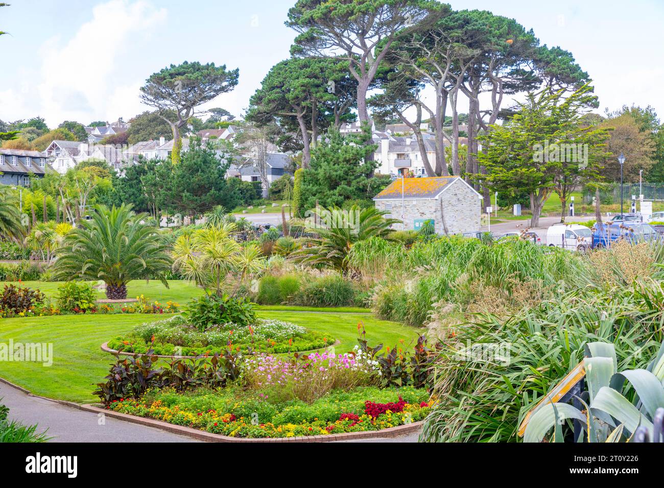 Falmouth Conwall, settembre 2023, i Queen Mary Gardens sono stati aperti nel 1912 dietro Gyllyngvase Beach con i pini di Monterey, Inghilterra, Regno Unito Foto Stock