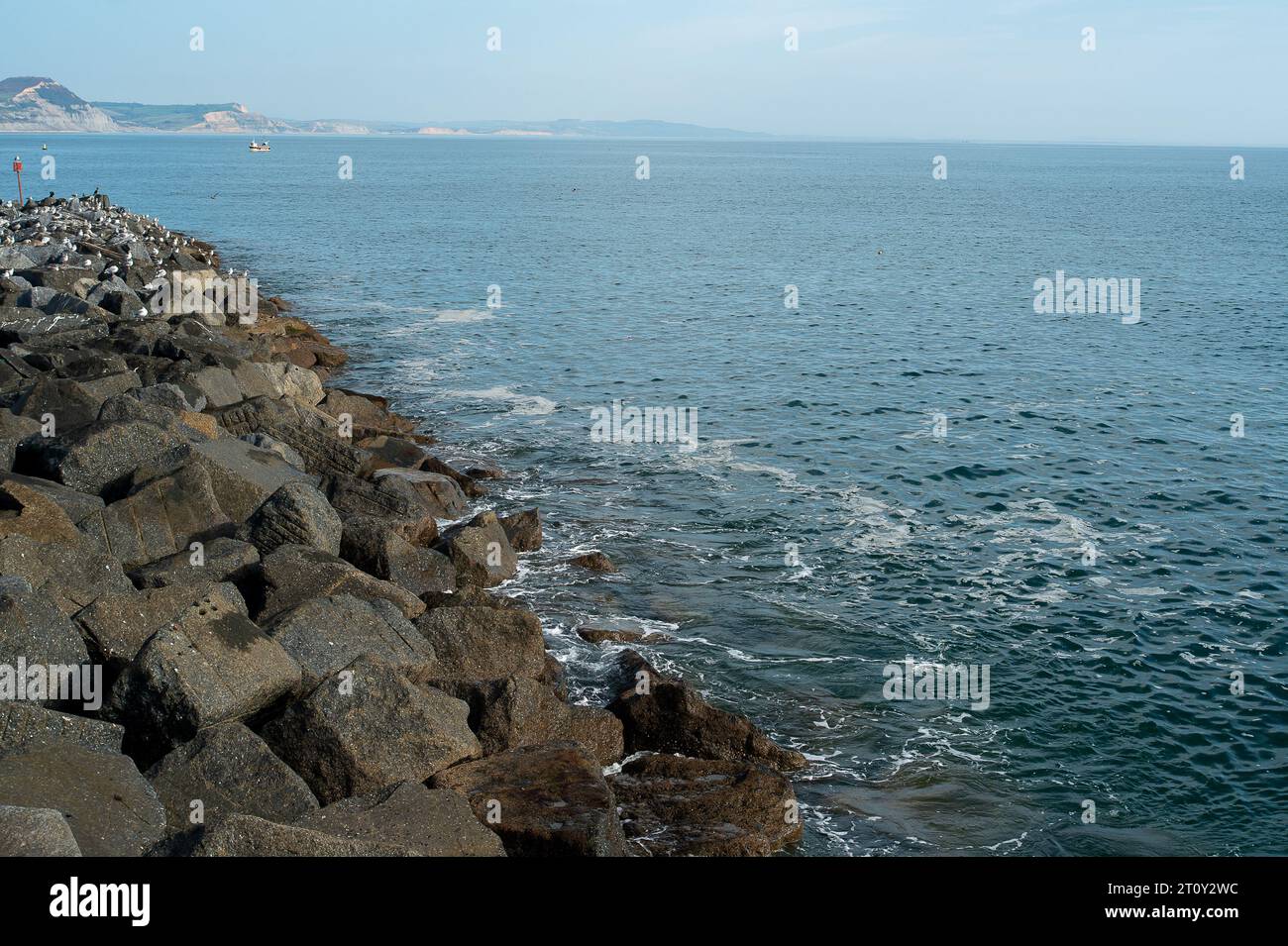 Lyme Regis, Dorset, Regno Unito. 9 ottobre 2023. Fognature in mare vicino alla difesa delle mura di mare di Cobb a Lyme Regis nel Dorset oggi. Il partito laburista ha annunciato che "daranno a Ofwat il potere di vietare il pagamento di bonus ai boss dell'acqua che si trovano a pompare livelli significativi di acque reflue grezze nei nostri preziosi fiumi, laghi e mari. Il segretario per l’ambiente ombra del lavoro, Steve Reed, parlamentare, ha delineato piani per porre fine a anni di negligenza conservatrice e mettere l’industria idrica sotto “misure speciali” per porre fine alla crisi delle acque reflue una volta per tutte”. Credito: Maureen McLean/Alamy Live News Foto Stock