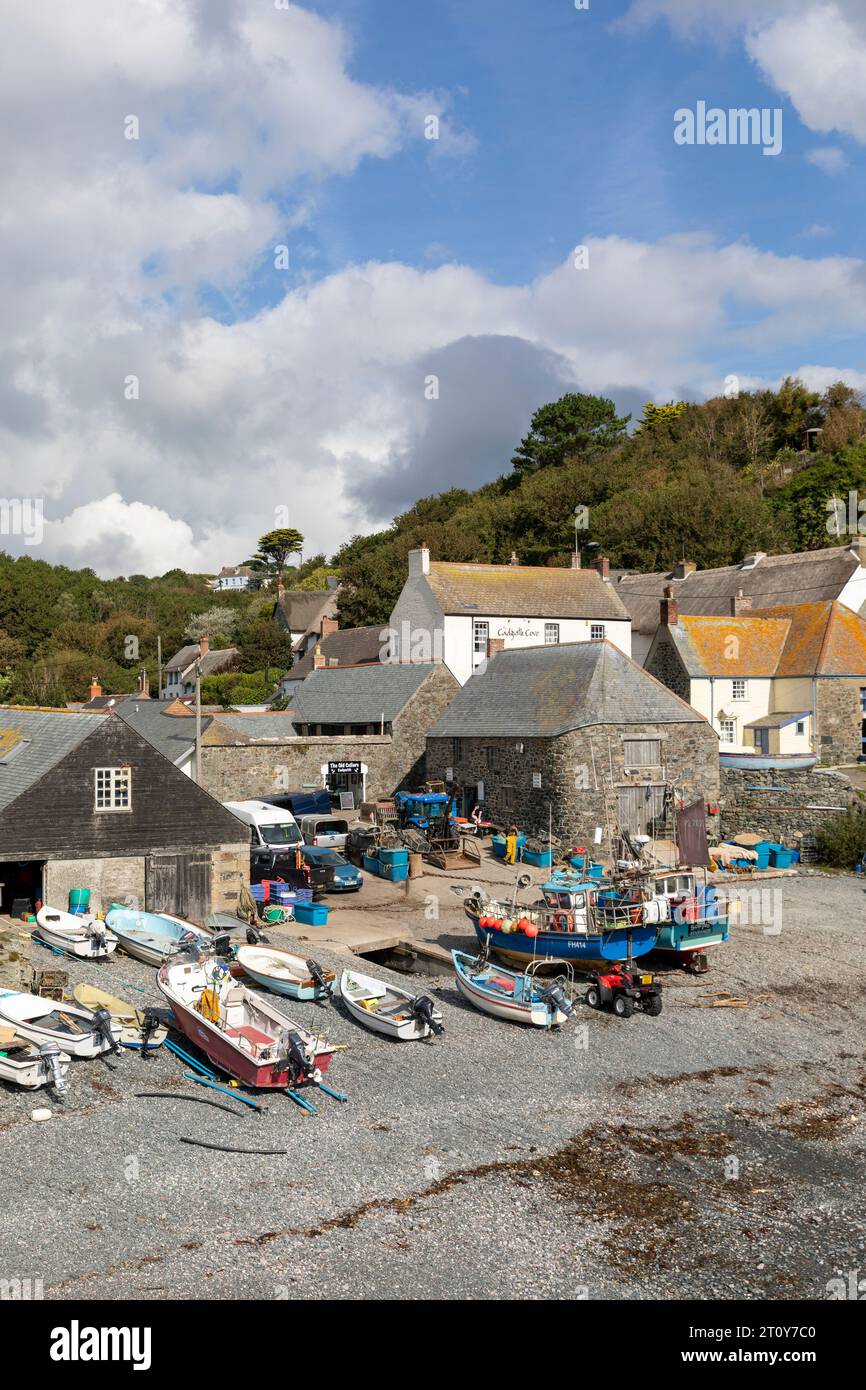 2023 settembre, baia del villaggio di Cadgwith con barche da pesca commerciali sulla spiaggia di ciottoli, penisola di Lizard, Cornovaglia, Inghilterra, Regno Unito Foto Stock