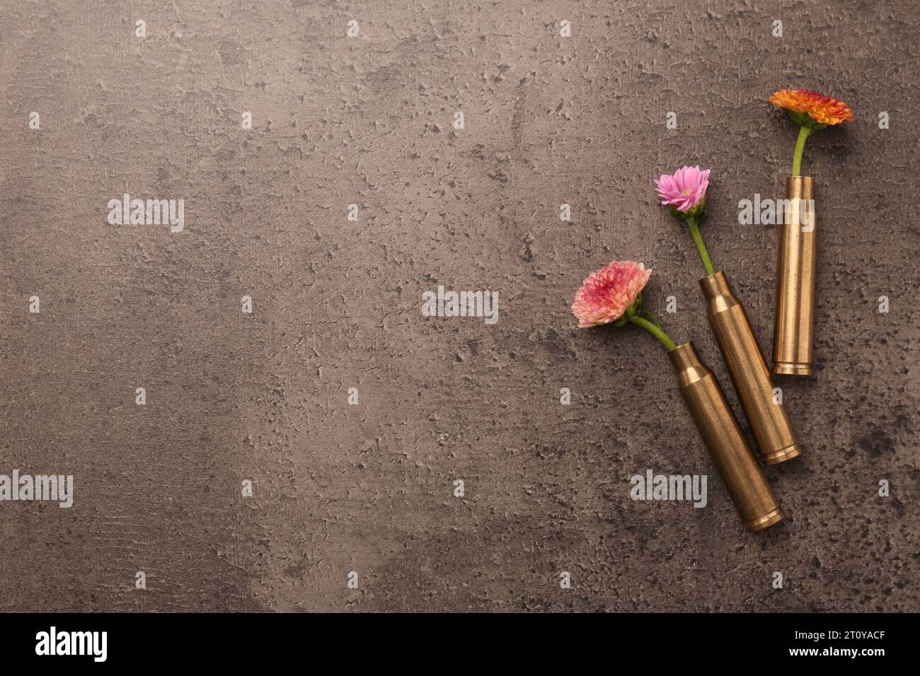 Bellissimi fiori in astucci di proiettile su un tavolo grigio testurizzato, piatto. Spazio per il testo Foto Stock