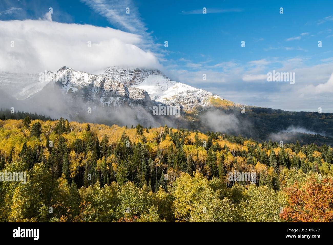 Colori autunnali e paesaggi maestosi lungo il famoso Alpine Loop, Utah, Stati Uniti. Foto Stock