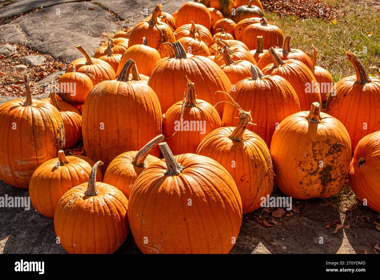 Chiosco stradale che vende verdure in Massachusetts Foto Stock