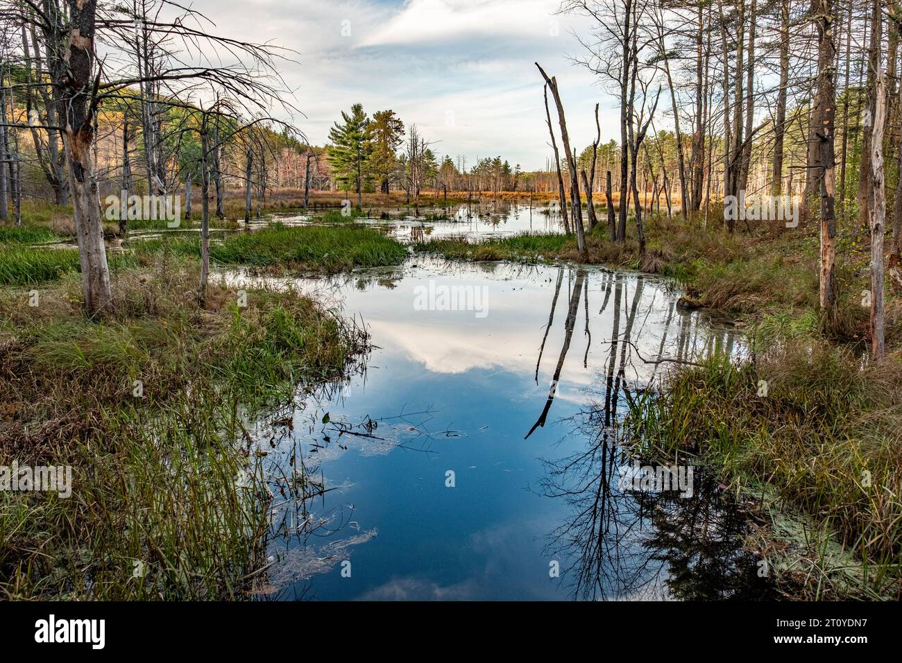 Area della diga di Birch Hill a Royalston, Massachusetts Foto Stock