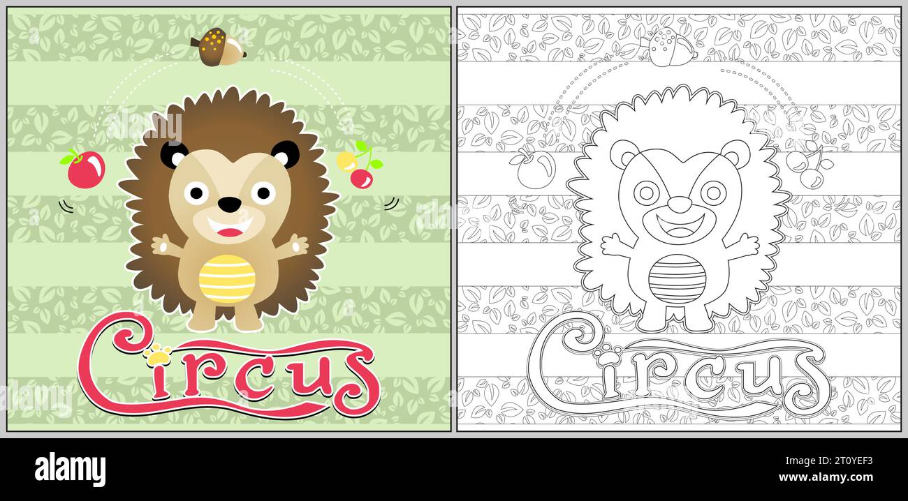 Cartoni animati vettoriali che illustrano carini ricci che giocherellano i frutti in spettacoli di circo, pagine da colorare o libri Illustrazione Vettoriale