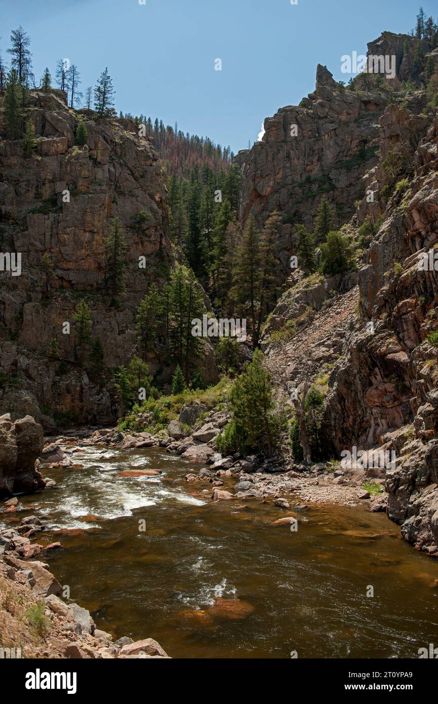 Colorado's cache la Poudre River vicino a Poverty Gulch Foto Stock