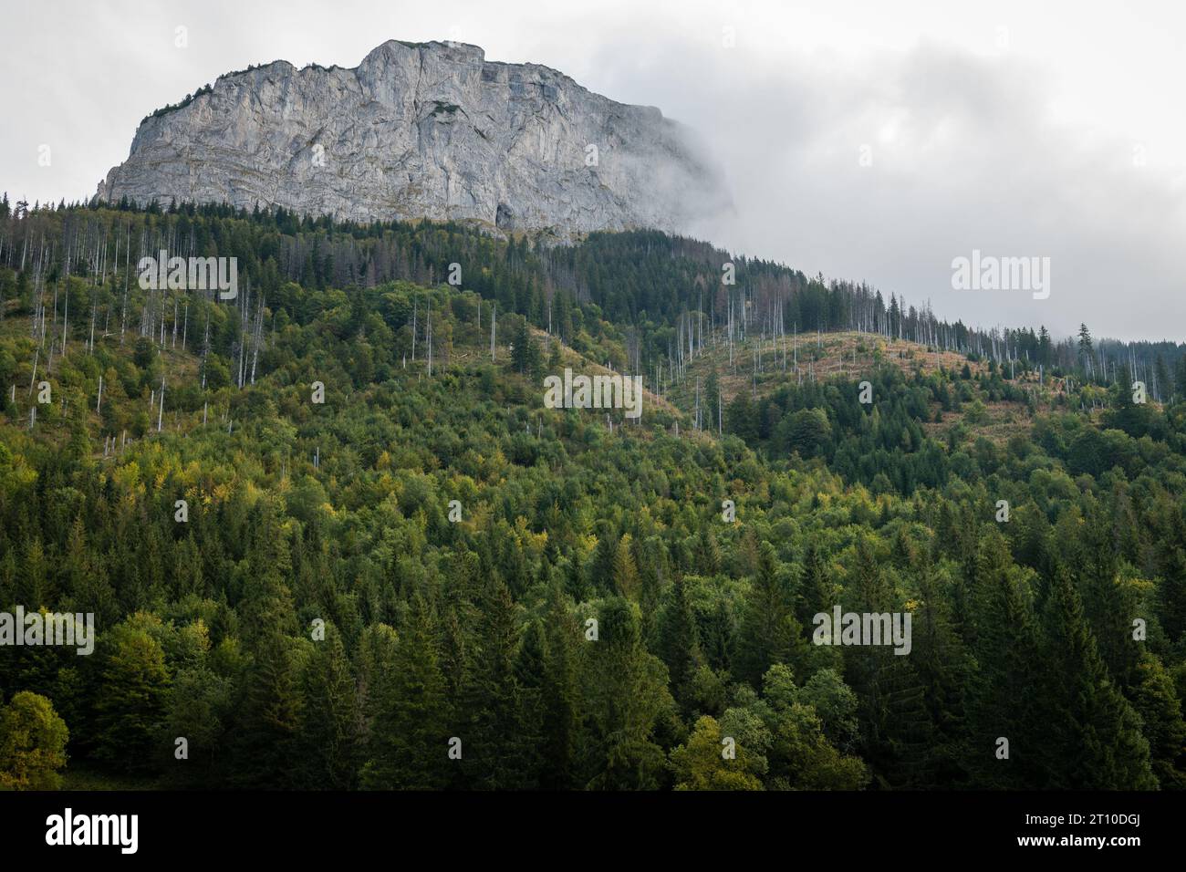 Picco Muran tra le nuvole, Parco Nazionale Belianske Tatras, Slovacchia Foto Stock