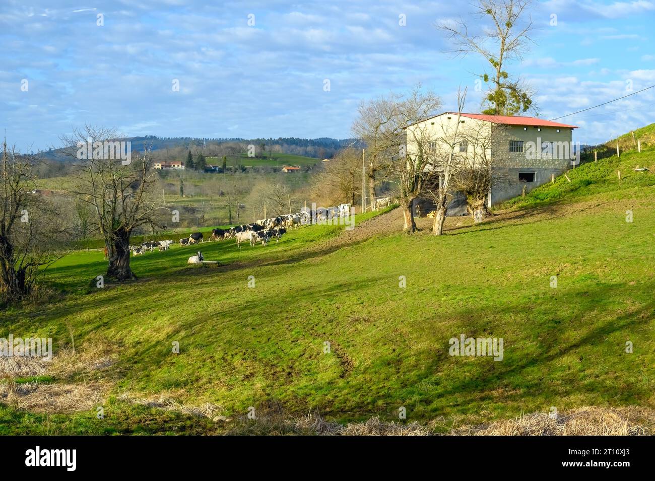 Paesaggio rurale e costruzione nella campagna delle Asturie, Spagna Foto Stock