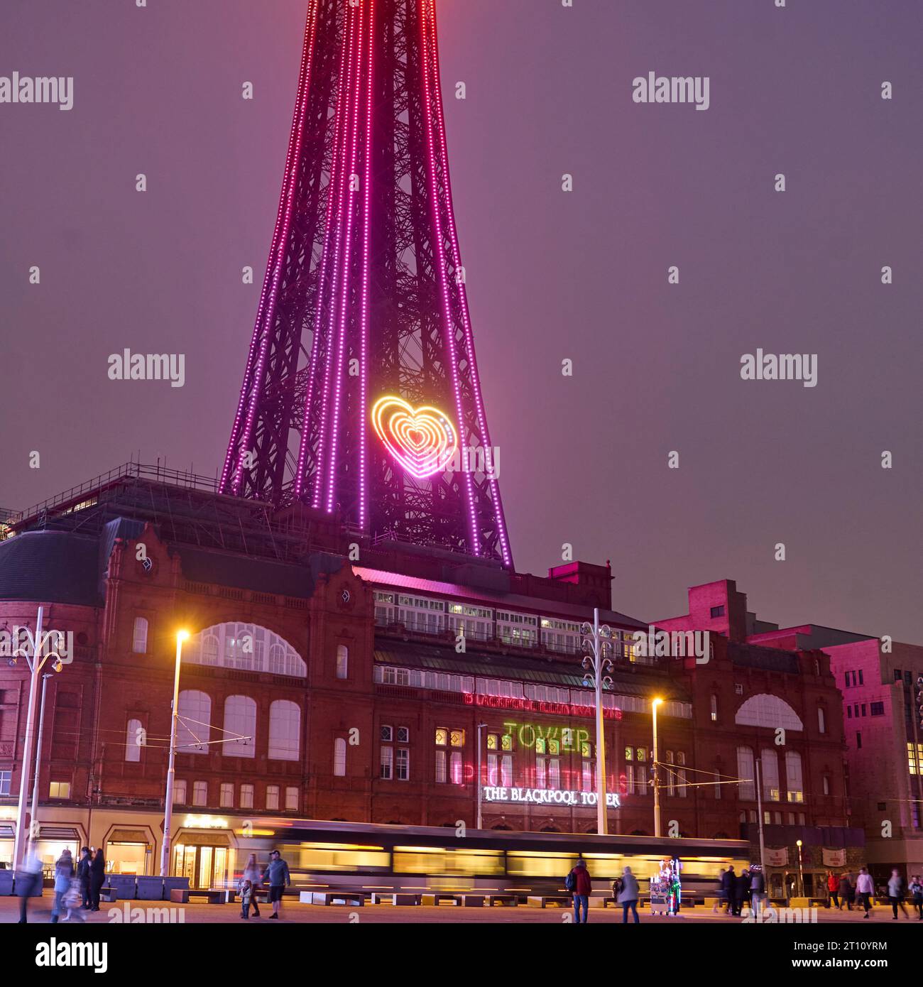 Il tram passa davanti all'edificio della Blackpool Tower durante le luci Foto Stock