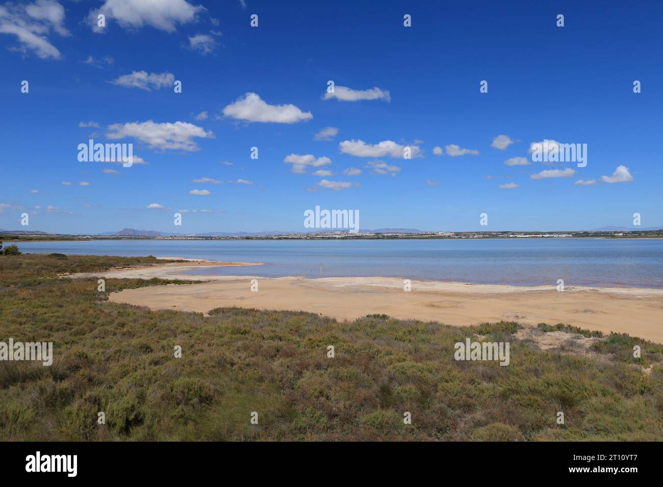 Parco naturale della Laguna Salada de la Mata y Torrevieja. Foto Stock