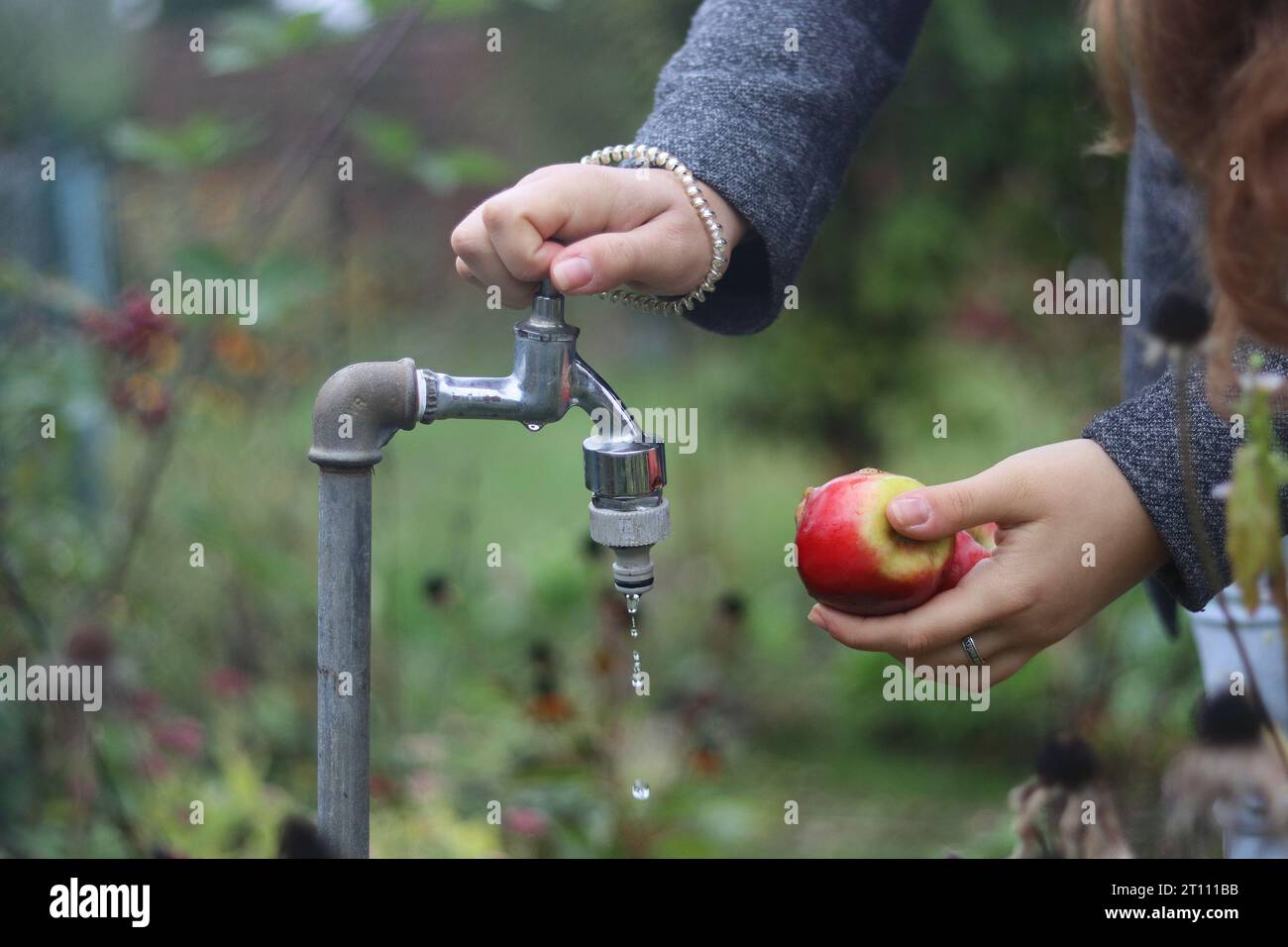 Mani di giovane donna che lavano due mele rosse sotto il getto d'acqua che scorre dal rubinetto in giardino. Femmina apre o chiude il rubinetto. Traduzione del phr Foto Stock