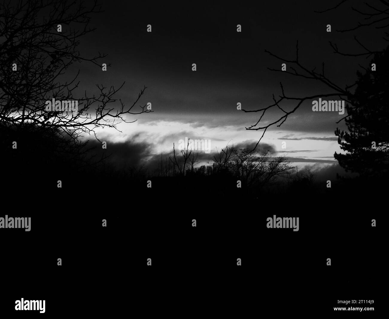 tramonto sulla foresta Foto Stock