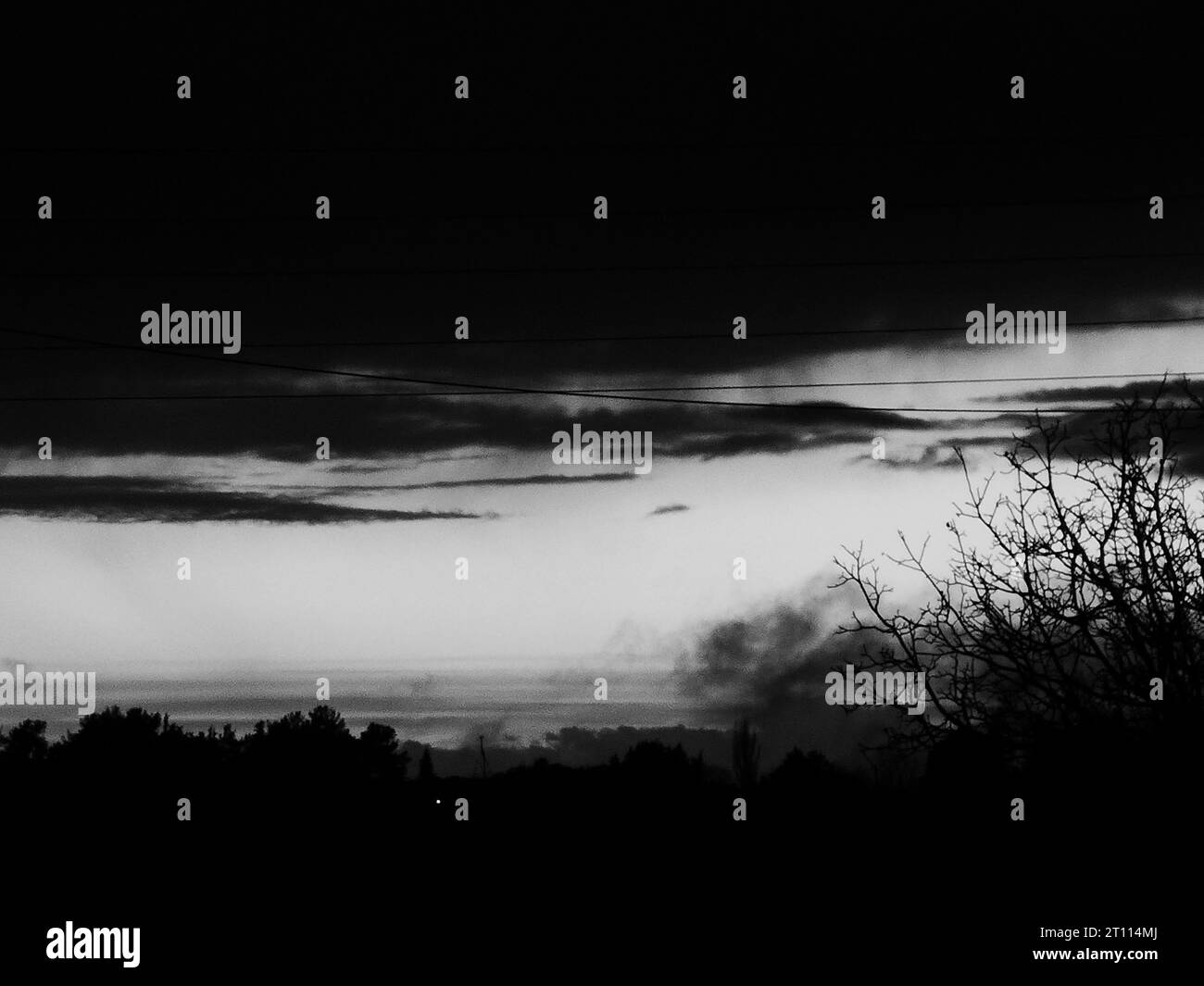 tramonto sulla foresta Foto Stock