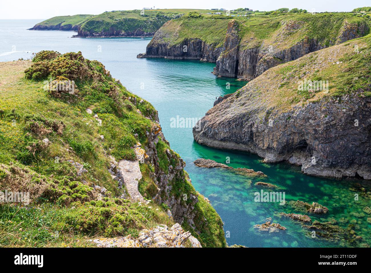Skrinkle Haven, Lydstep nel Pembrokeshire Coast National Park, West Wales, Regno Unito Foto Stock