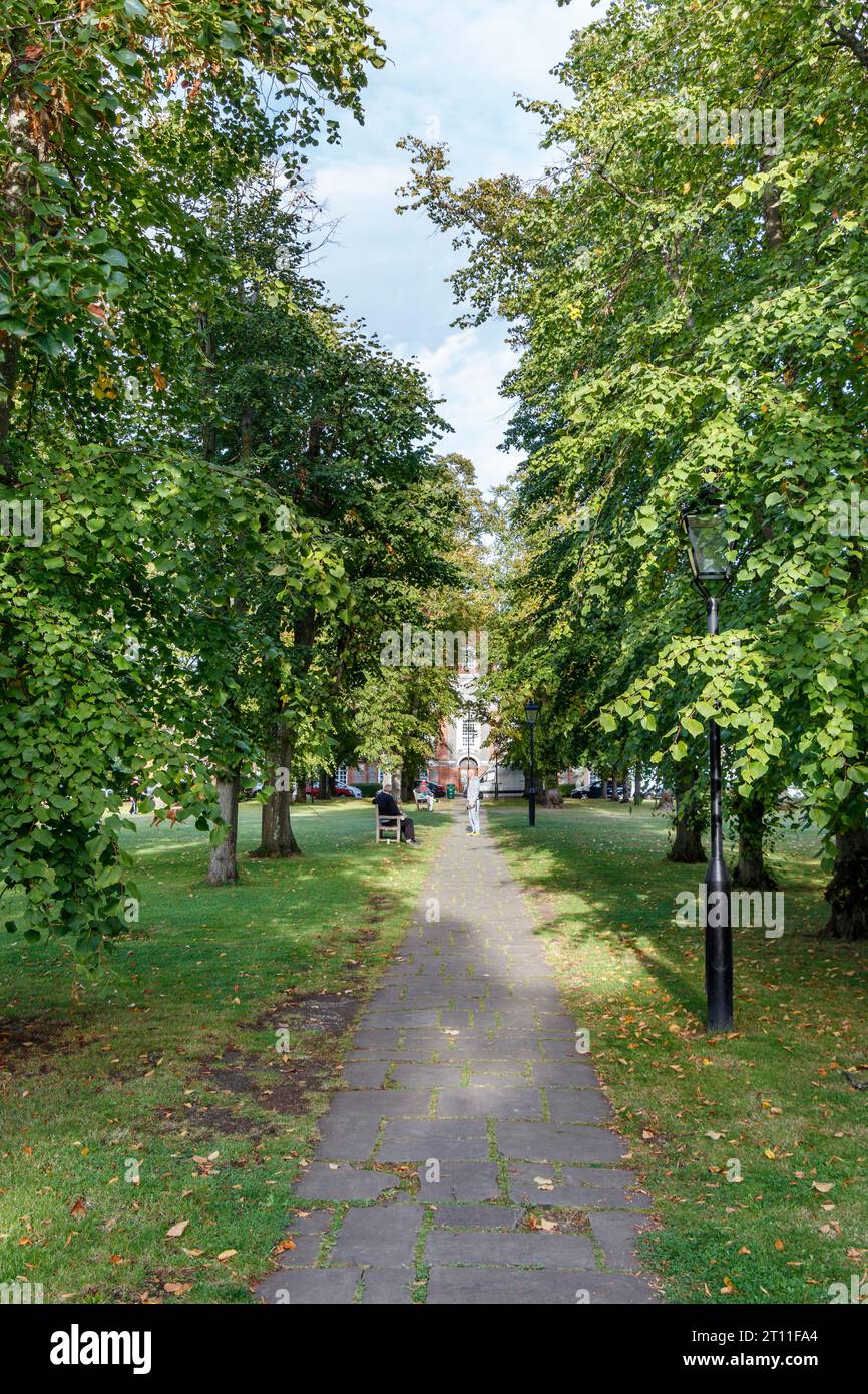Un viale di alberi che biseca Central Square nel sobborgo di Hampstead Garden, Londra, Regno Unito Foto Stock