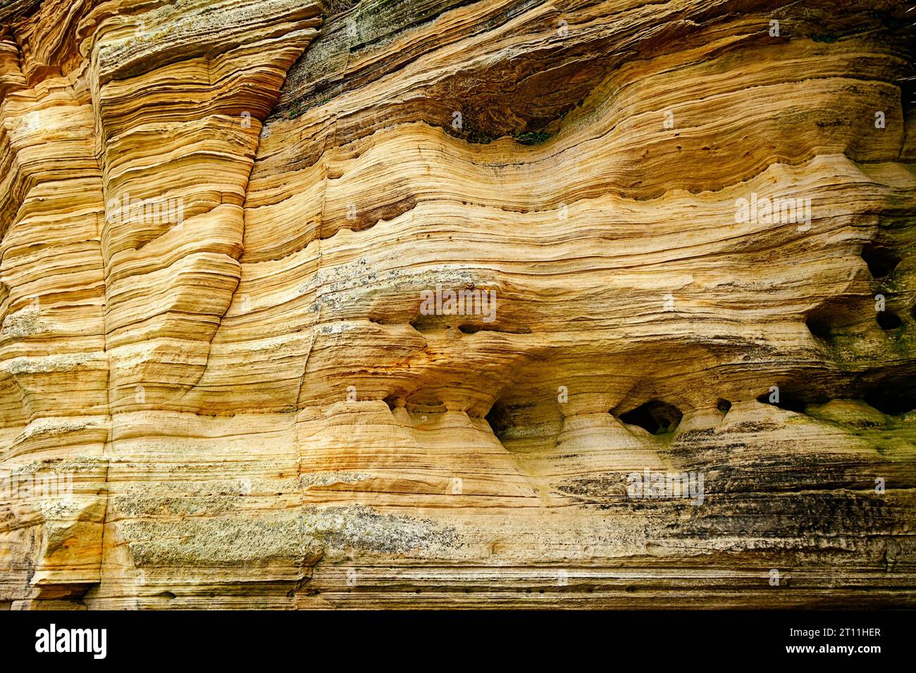 Hopeman Moray Coast Scozia strati di arenaria scolpita di colore dorato sulle scogliere Foto Stock