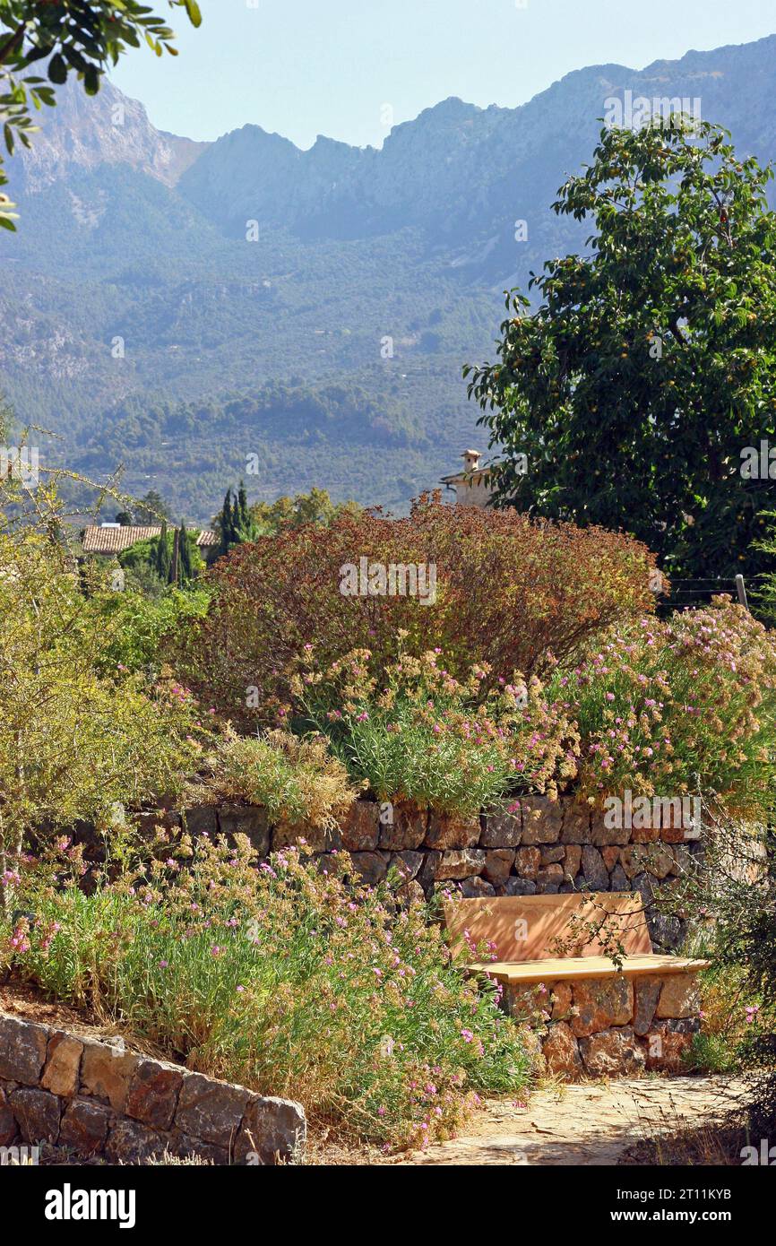 Giardino botanico di Soller, Maiorca. Una panchina in pietra naturale e legno è circondata da flora mediterranea; lo sfondo delle montagne Tramuntana. Settembre. Foto Stock