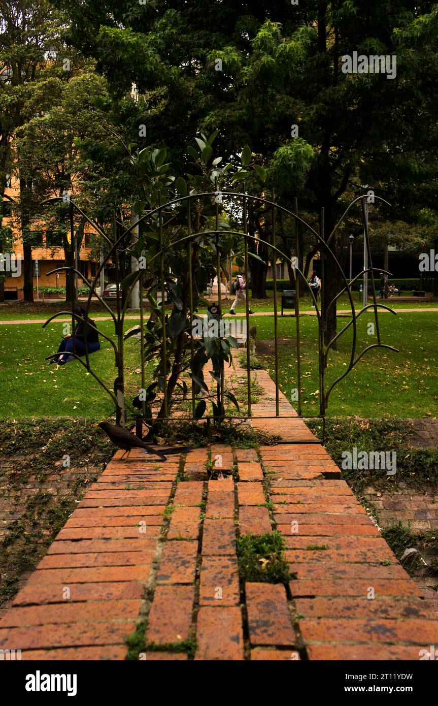 Bogotá, Colombia... capitale della diversità e avventura in città Foto Stock