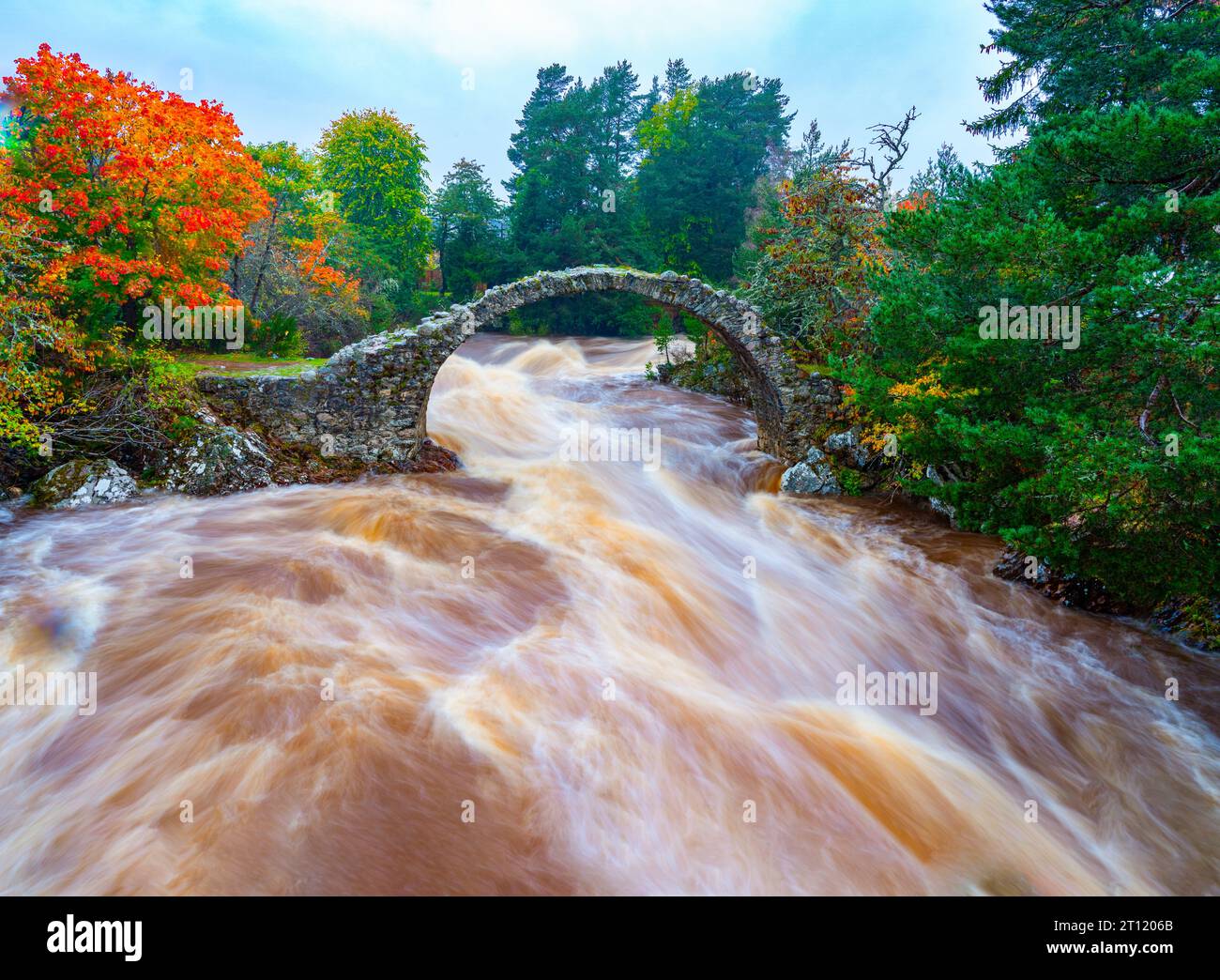 Il fiume Dulnain scorre sotto l'Old Pack Horse Bridge a Carrbridge, nelle Highlands scozzesi, Scozia, Regno Unito Foto Stock