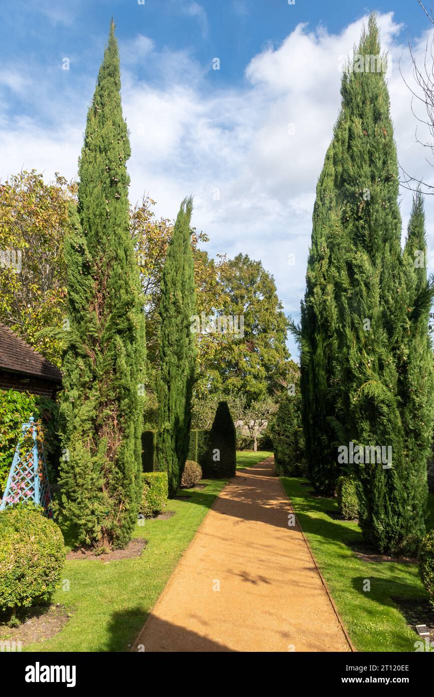 Petersfield Physic Garden, Hampshire, Inghilterra, Regno Unito, durante ottobre o autunno. La passeggiata topiaria Foto Stock