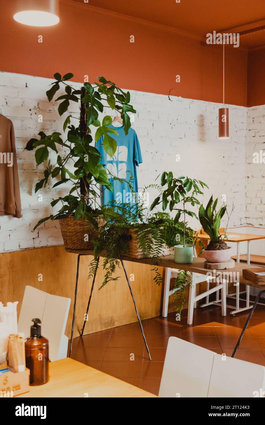 decorazione della caffetteria con piante Foto Stock