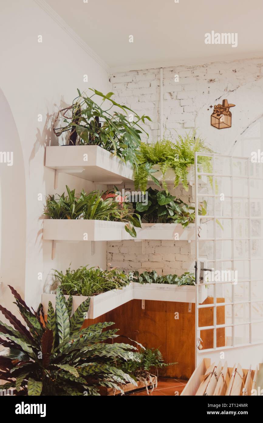 decorazione interna della caffetteria con piante Foto Stock